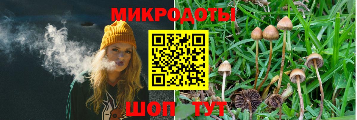 Псилоцибиновые грибы Psilocybe  Псилоцибиновые грибы Psilocybine cubensis  Вход с VPN  Мытищи 