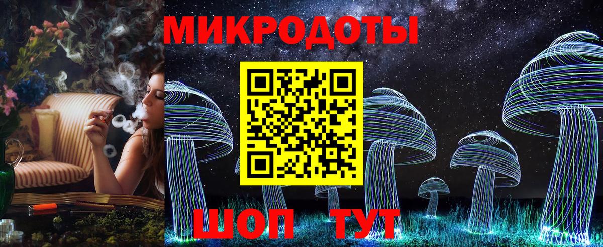 Псилоцибиновые грибы Psilocybe Мытищи